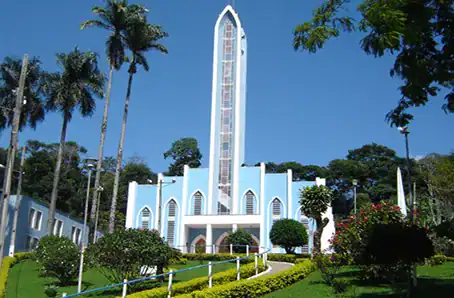 Alto Jequitibá